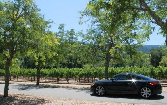 oTTo visiting the vineyards in Napa Valley