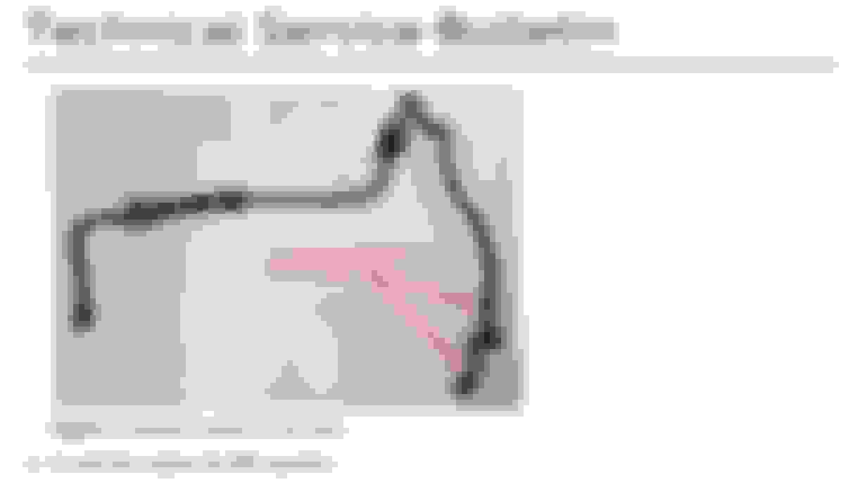 A3 Etron EVAP system leak N80 purge valve location AudiWorld Forums