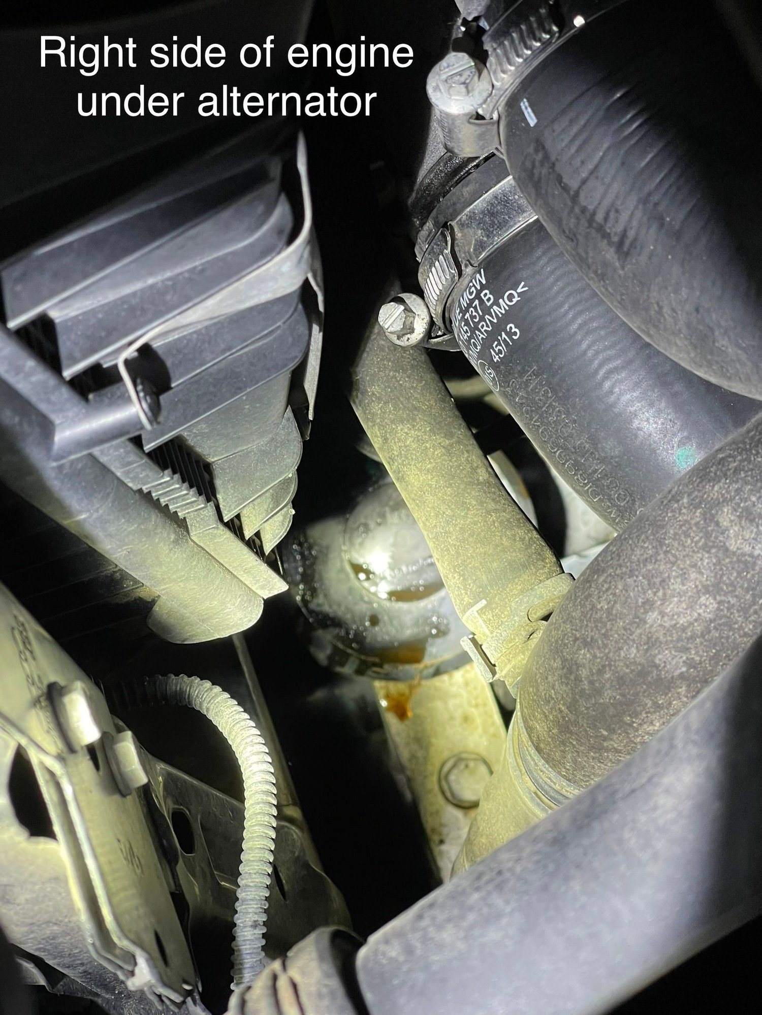 HELP! Audi Q7 TDI Leak AudiWorld Forums