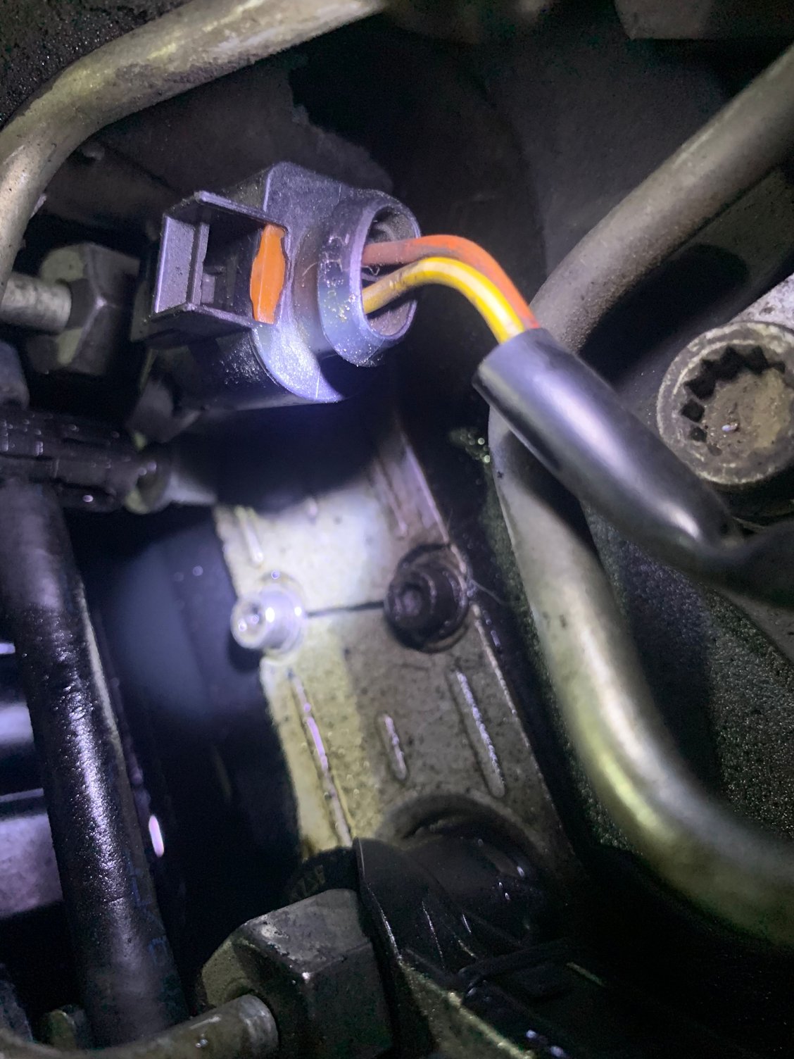 A4 B8 2009 Oil Leak & Serpentine belt snap AudiWorld Forums