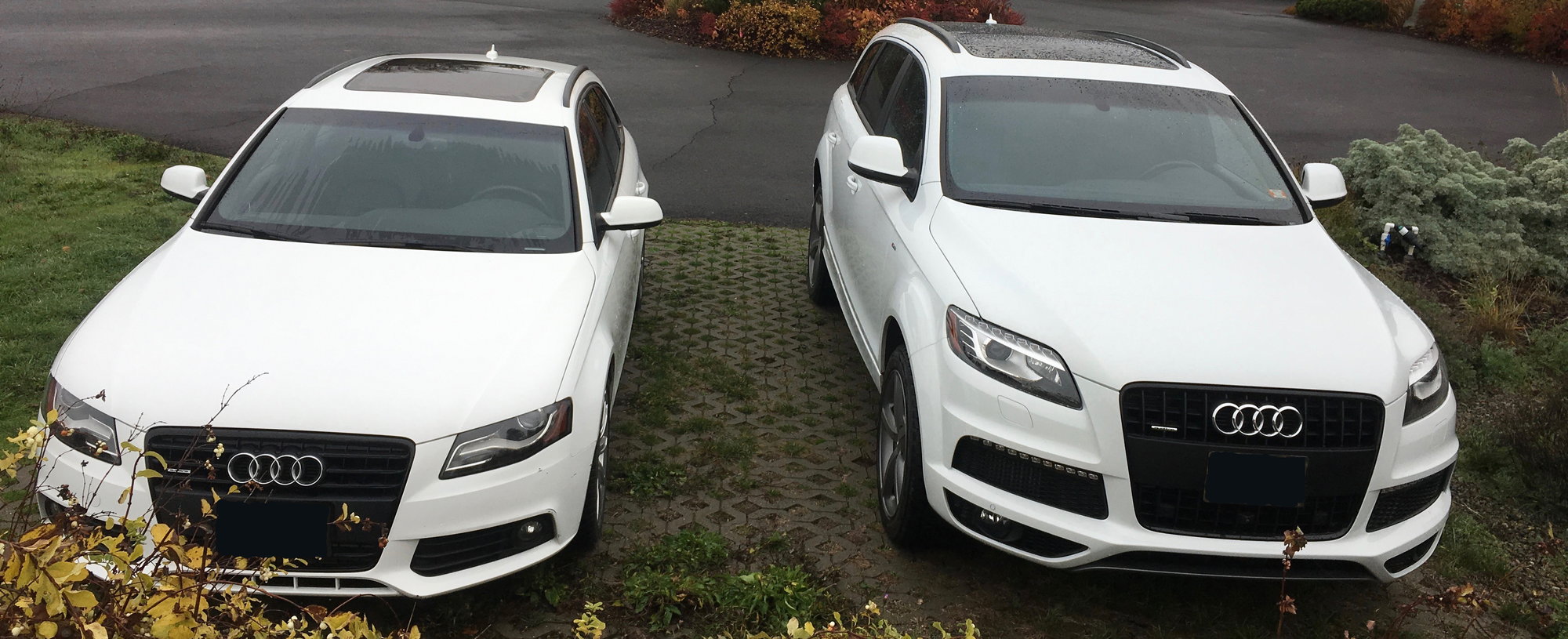 Audi Q5 Ibis White Vs Glacier White