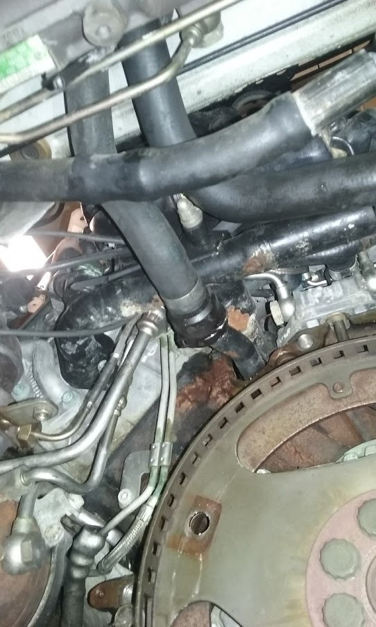 Cooling Flange Lower Hose Problem Audiworld Forums