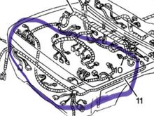 Here is the wiring harness diagram.  I need the 10 harness.