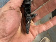 Just a little bit of header heat on factory loom   Ouch 