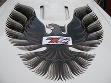 My F-Body