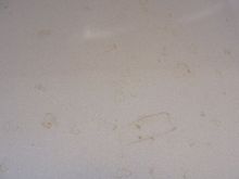DSC01279