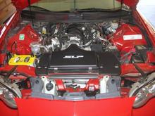 Standard LS1