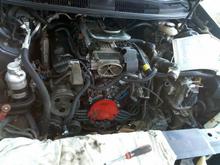 IMG 20110619 142813