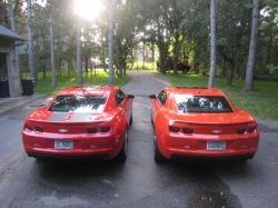 His (VR) Hers (IOM) Both 2SSRS