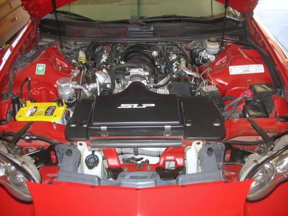 Standard LS1