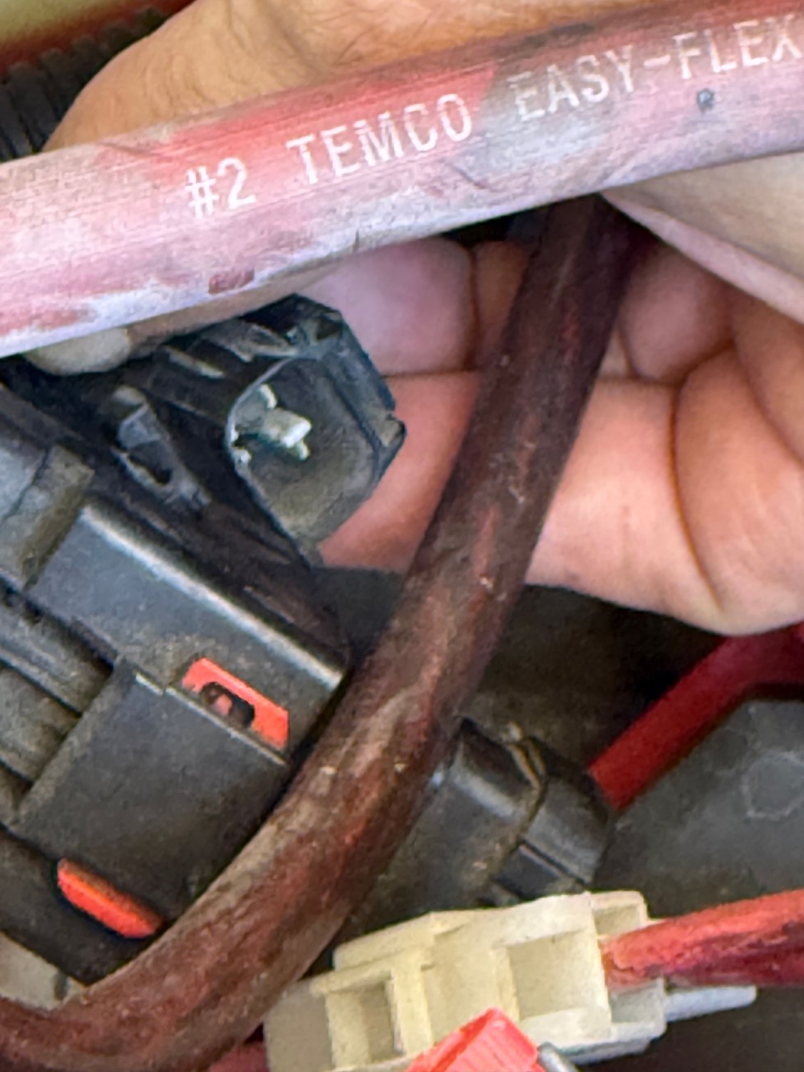 Not sure at all about this.  It�s on a short lead.  