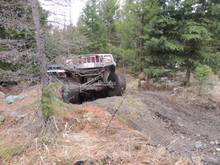 Wild Bill- 3/21/15