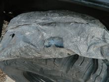Found this weird bag of insulation looking stuff inside the rusted area. WTF is it?
