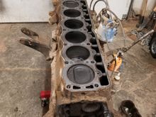 Head off the 4.2, cylinders and pistons all look good.