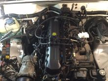 Valve cover, new injector o rings,spark plugs installed.