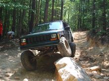 Flex