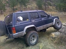 Rock Flexin
