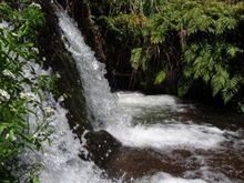 68923 108906852484349 100000951033266 57296 1869260 n[1] A little slice of Paradise in NZ