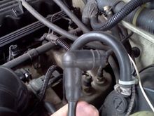 This is the hose that i disconected