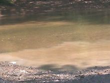 Muddy steam