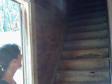 Animas Forks, Tom Walsh House. Amy didn't trust the stairs
