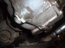 transmission leak?