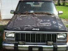A little oxidation on the hood, but that is to be expected, she sat for at least 3 years, this is the worst of it though