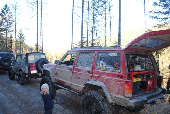 Wild Bill- 3/21/15