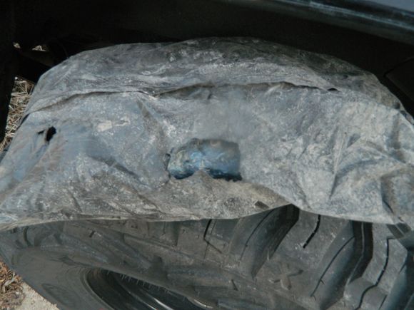 Found this weird bag of insulation looking stuff inside the rusted area. WTF is it?
