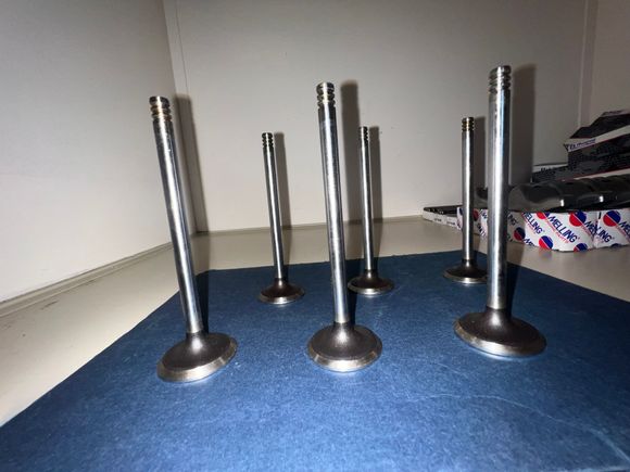 Exhaust valves 3