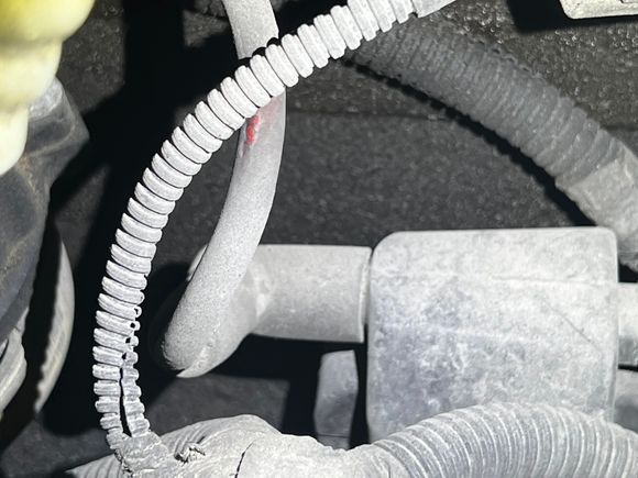 You can see in the background the black sludge. 