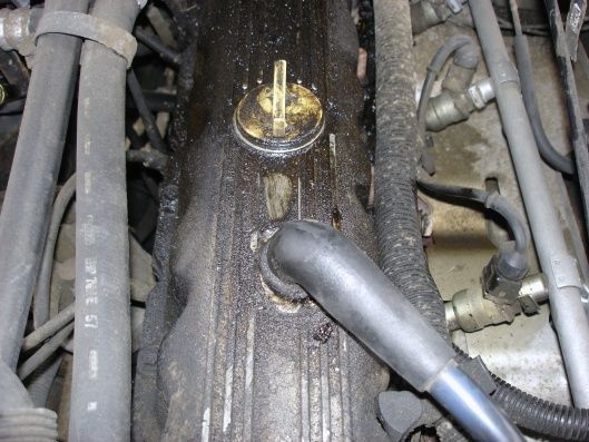 You can see the finger mark were he tasted the blown head gasket.