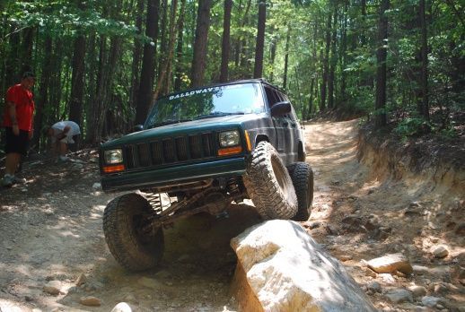 Flex