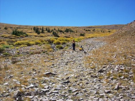 Momma and monkey boy striking out on their own towards Sheep Mt.