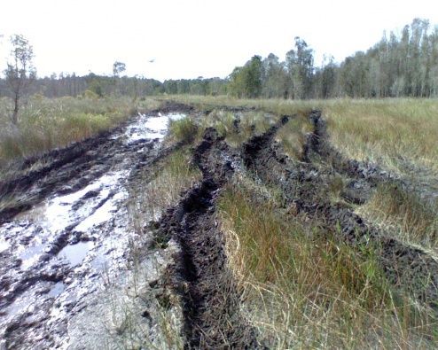 jeep foot prints