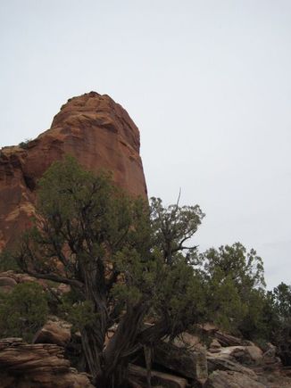 Scenery shot