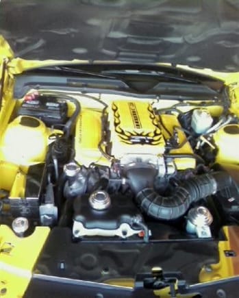 0b641e669570  1246209985000 engine in my 2005 Ford Mustang GT