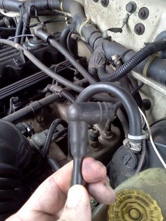 This is the hose that i disconected