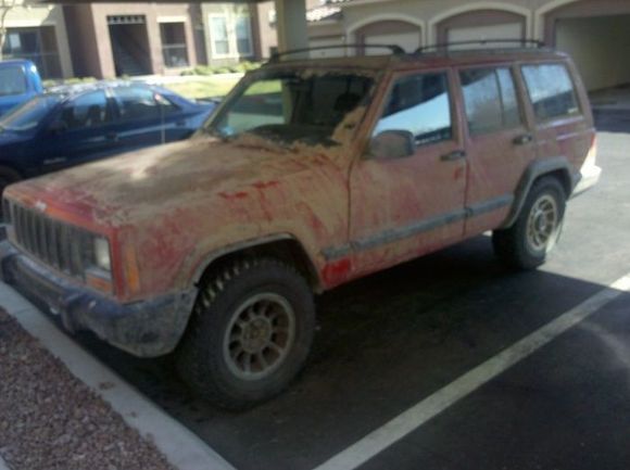 a day after playing in the mud