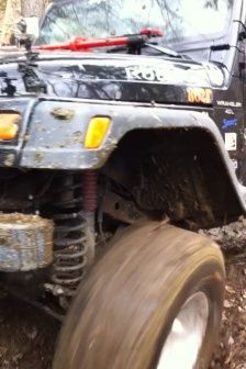 Flexin in the mud.