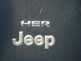 551351 4386227547324 1773361582 n
Customization on my XJ