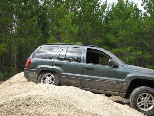 Cary Forest 7/2012