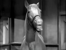 Yeah, what is the estimated horse power? 