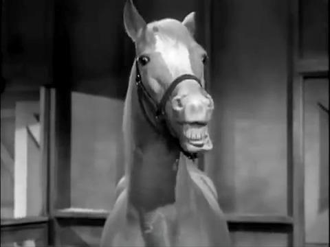 Yeah, what is the estimated horse power? 