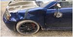 Deer damage