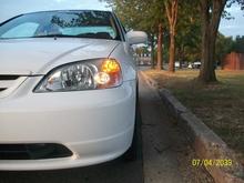 PICs 004