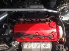 Freshly Painted Valve Cover
