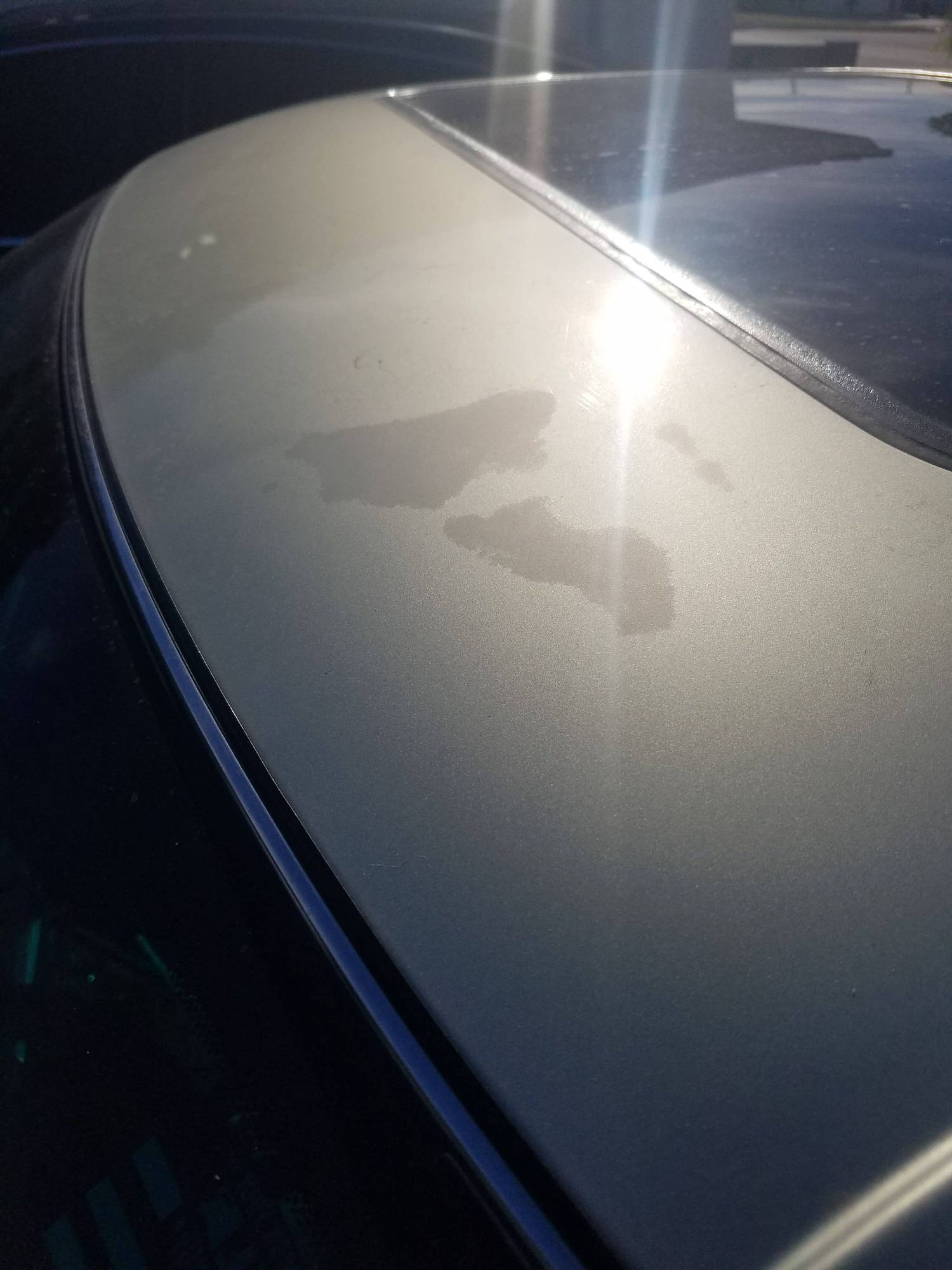 HELP! Clearcoat Oxidation Repair - ClubLexus - Lexus Forum Discussion