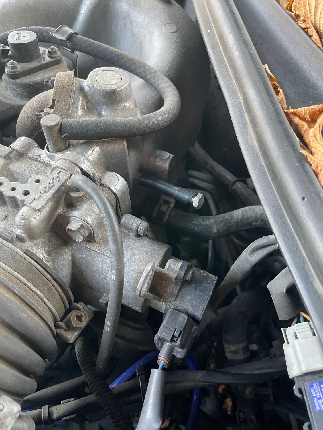 97 ES300 vacuum problem / schematic needed ClubLexus Lexus Forum