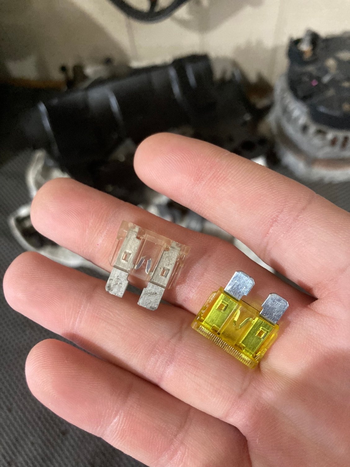 Found these in the car.....